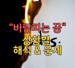 바람피는 꿈 상황별 해석 및 운세