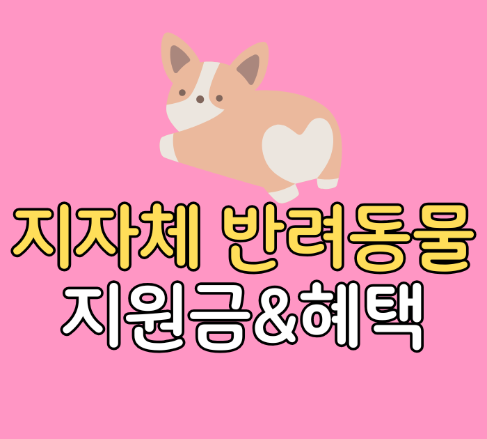 지자체 반려동물 지원금