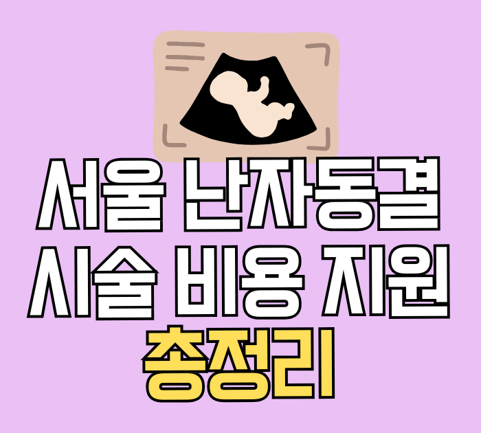 서울 난자동결 시술 비용 지원 총정리