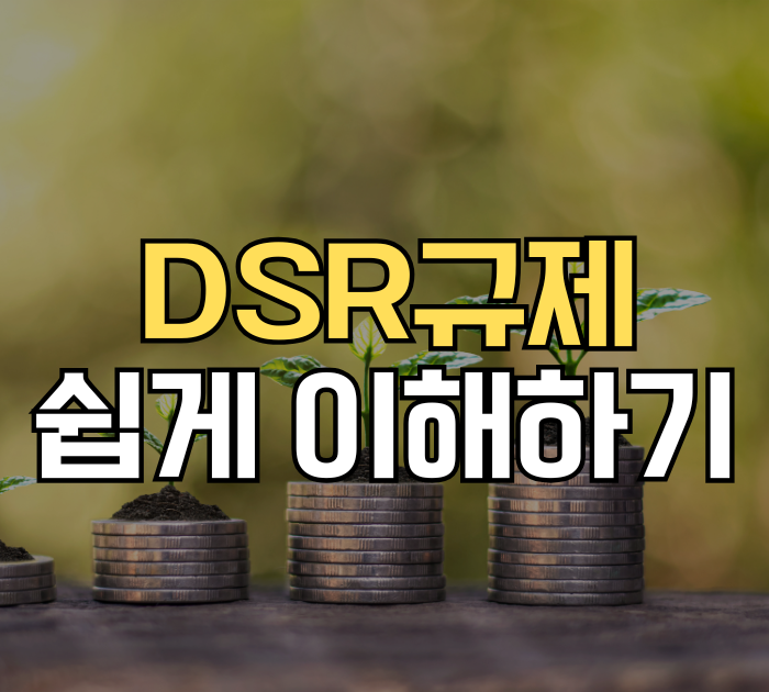 DSR규제 쉽게 이해하기