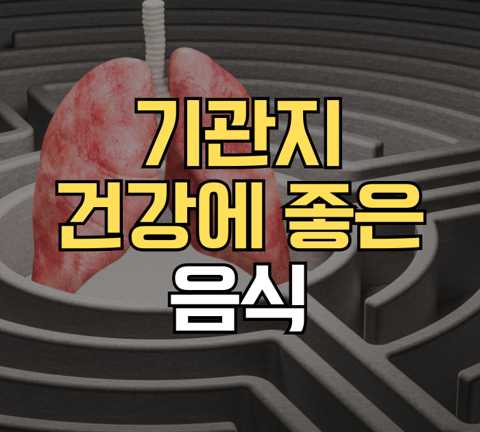 기관지 건강에 좋은 음식