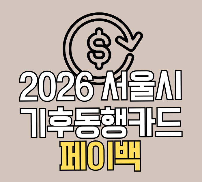 서울시 기후동행카드 페이백