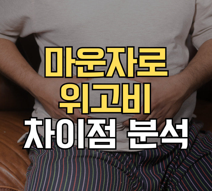 마운자로 위고비 차이점 분석
