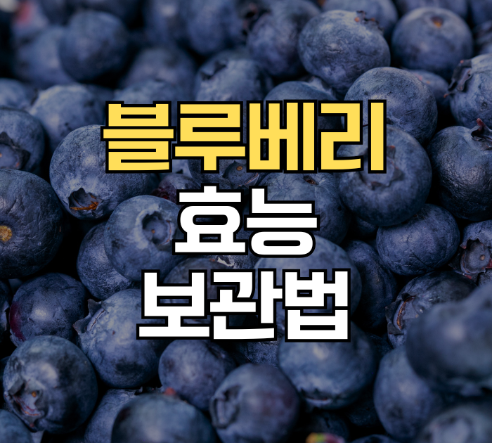블루베리 효능 보관법