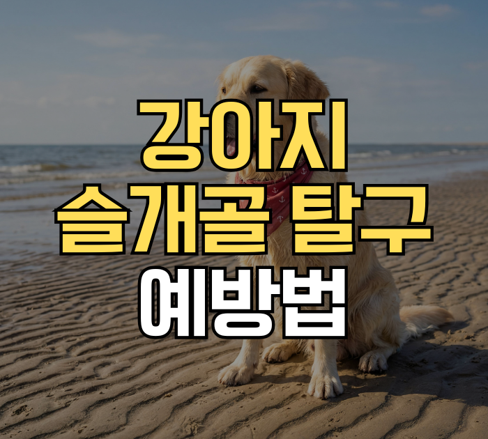 강아지 슬개골 탈구 예방법
