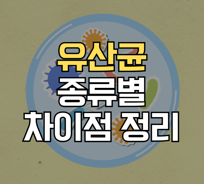 유산균 종류별 차이점 정리