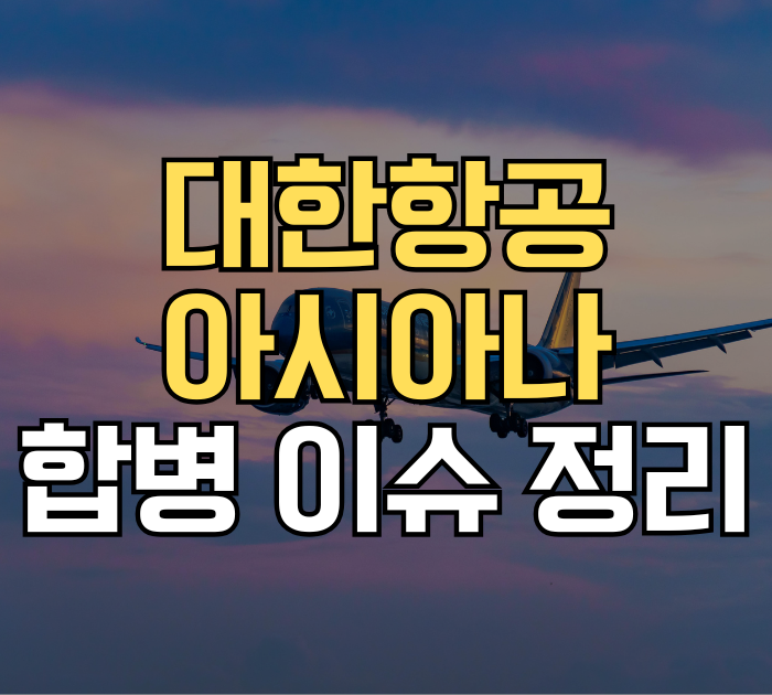 대한항공 아시아나 합병 이슈 정리