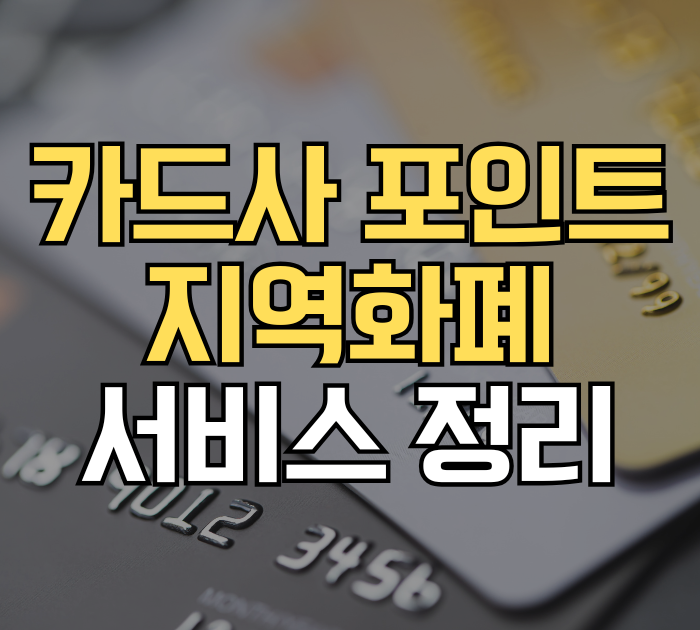 카드사 포인트 지역화폐 서비스 정리
