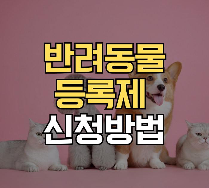 반력동물 등록제 신청방법 정리