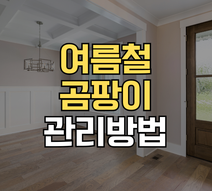 여름철 곰팡이 관리방법