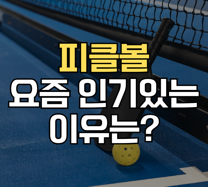 피클볼 요즘 인기있는 이유는?