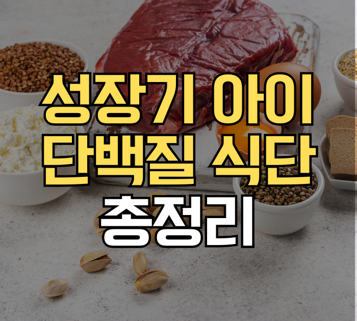성장기 아이 단백질 식단 총정리