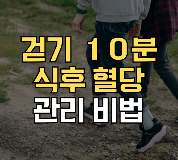 걷기 10분 식후 혈당 관리 비법