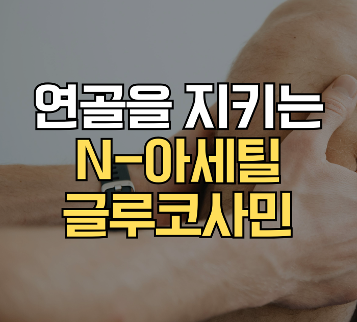 연골을 지키는 N-아세틸글루코사민