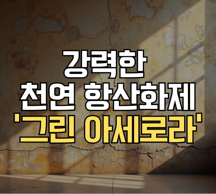 강력한 천연 항산화제 ‘그린 아세로라’